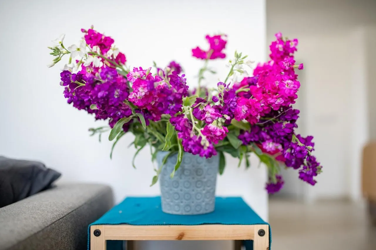 Sliema, Villa Savoia Luxury Apartment For 5 Guests Gzira Malta